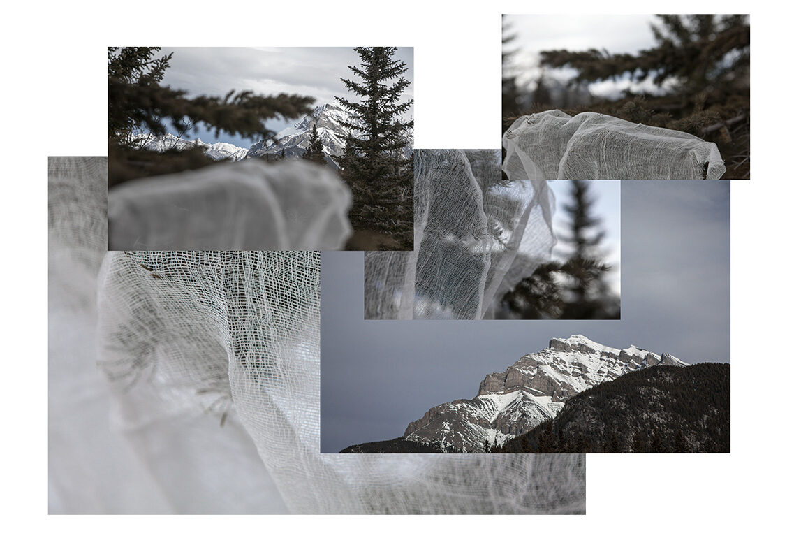 roe,_mountainfield_study_(cloth_and_mountain)