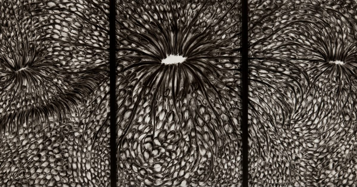 cotrelllovett-exhbition-2024-detail-shot