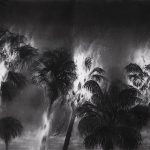 gonzalo_fuenmayor,_tropicalypse_